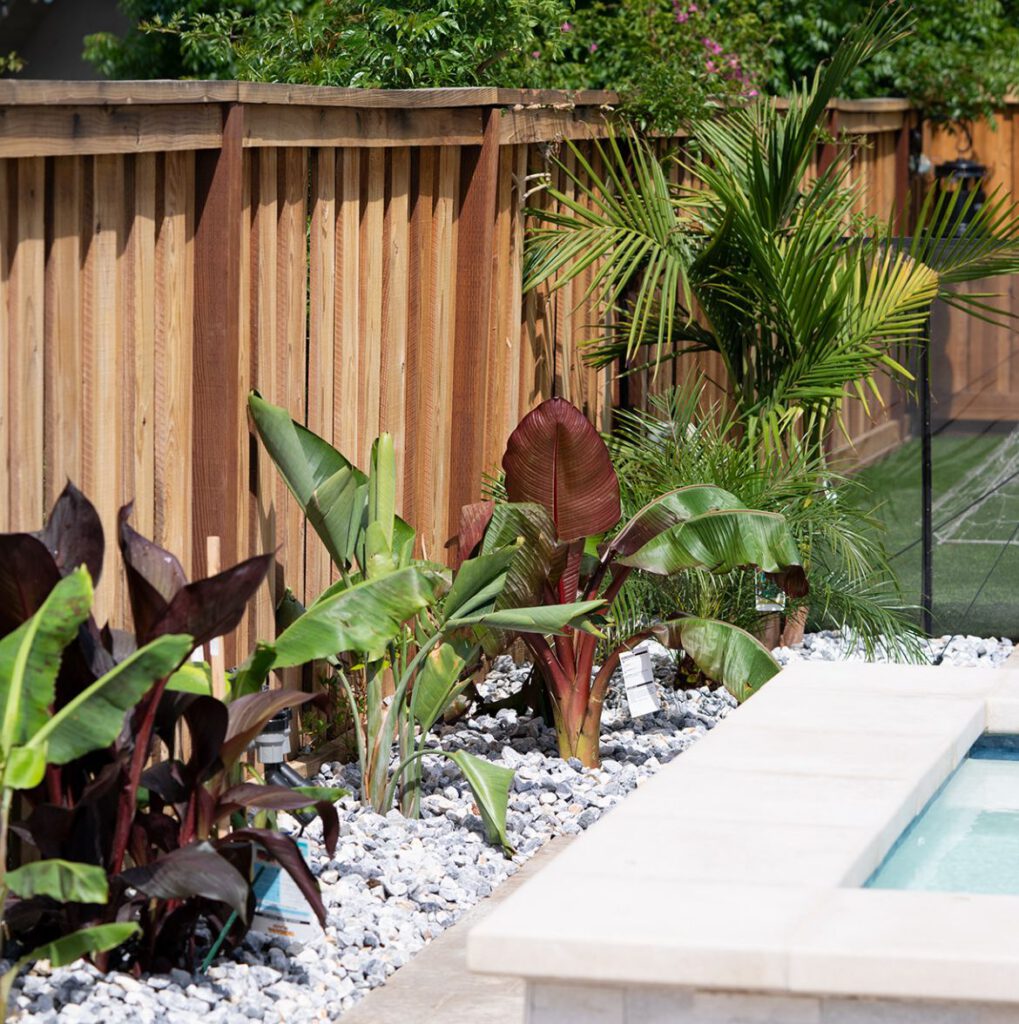 The client wanted the surrounding space around the pool to be usable while at the same time appealing to the eye.